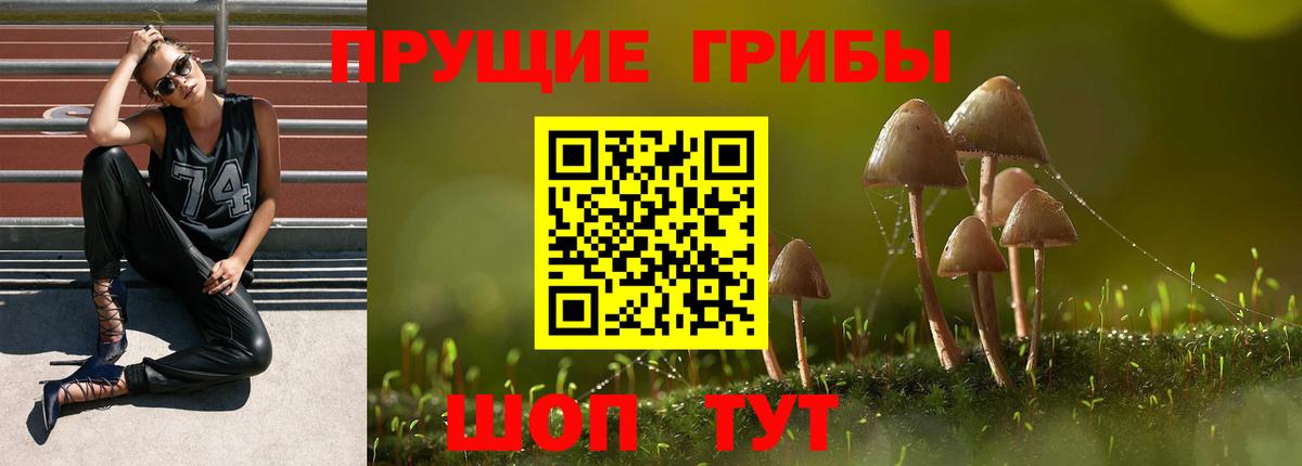 Псилоцибиновые грибы GOLDEN TEACHER  Вход с VPN  Полысаево 